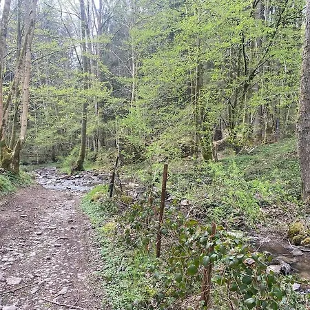 아파트 Le Du Cerf Hargnies